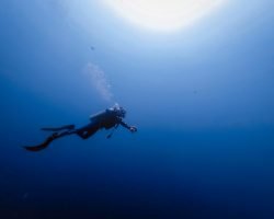 Hur man dyker - en guide för nybörjare
